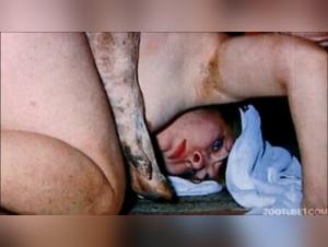 An Intimate Encounter with a Dog