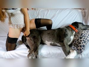 Asian Erotica Chases Dog, Blonde Slut Rides Doggy Style with Four-Hole Fun