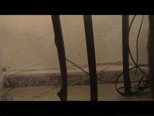 Unpublished zoophilia video on mexzoo