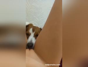 délices sauvages : chienne léche salope