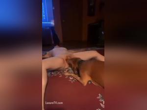 Bestial sex video: Legs spread