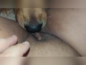 Sex Video with a Dog - Extreme Bestiality