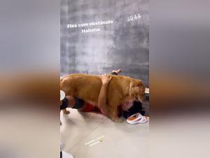 Blurring Lines: Zoophilia in Artistic Expression