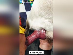 Benita : sucking her dog