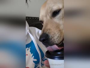 Brasileiro Bestiality - Extreme Zoophilia Sex Video