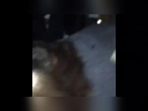 baci selvaggi con cagnoline amatoriali
