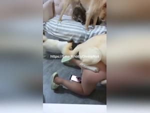 delving into canine forbidden fantasies