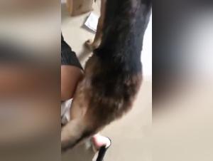 Naughty girl and dog in hard sex scene