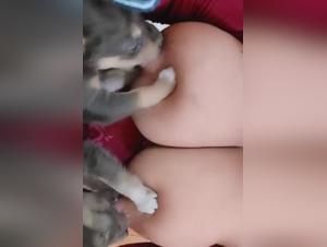 Forbidden Meeting: A Woman and Her Canine Companion