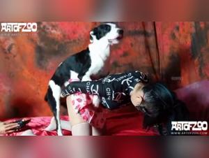 Shocking Dog Encounter: A Bestiality Video Not to Be Missed