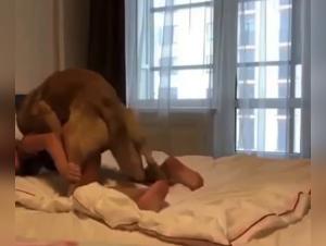 Best Zoophilia Sex Videos Online