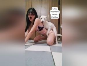 Zoophilia: a female dog subjected to a dog