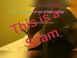 Compilation of sex videos with dogs