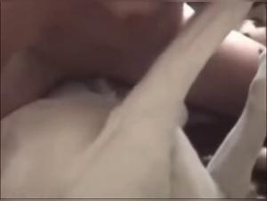 free beastiality videos