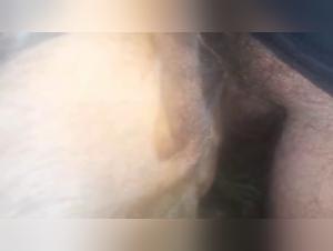 Forbidden Desires Unveiled