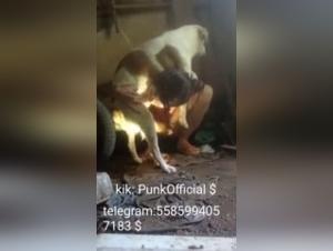 New sex videos with dogs