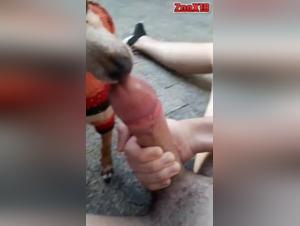 Big dog vs small pussy: An intense bestiality scene