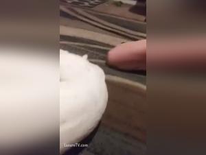 granny dog fuck