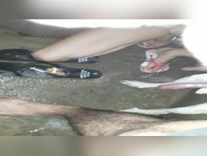 artzoo dogpunk bestiality