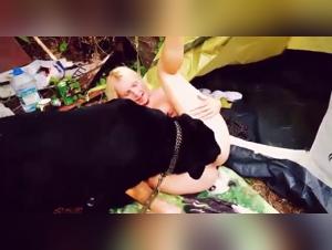 Unveiling Beast Taboo: Zoo Porn Experiences