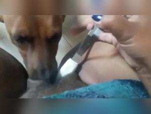 Brazilian woman and her dog: a shocking bestiality video