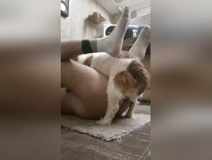 Bestial sex video: Man and dog in shocking scene