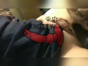 Bestiality: An Unconventional Romantic Relationship Between a Dog Couple and a Woman