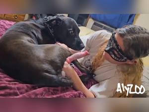 Unveiling Raw Animal Encounters