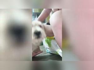 Forbidden Animal Desires Unleashed