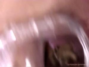 Submissive woman and dog in bestial act