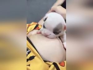 Woman Breastfeeds Her Dog - Shocking Video