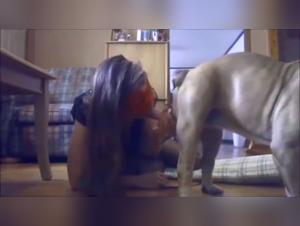 Dog Sex XXX: orgasmes féminins & animaux sauvages