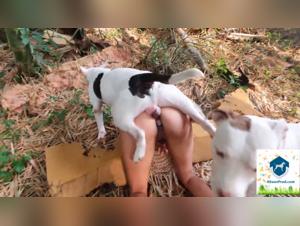 Alison and her two canine companions