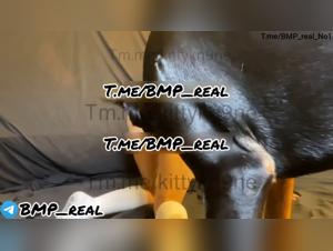 Kittykn9ne 2: Mädchen wird von ihrem Hund gefickt