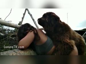 Submissive woman and her dog in the garden: a scene of extreme zoophilia