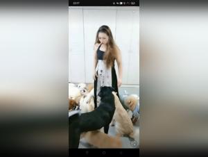 Bestiality Video: Discover our New Products