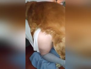 Pushing Boundaries: The Art of Zoophilia