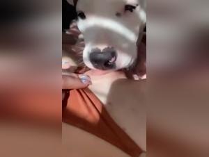 Amateur Video: Woman and Dog