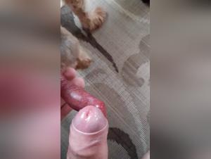 zoo bestiality zooskool