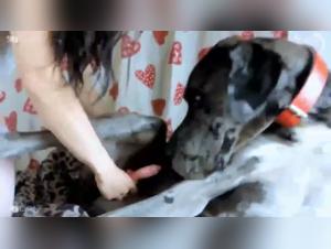 K9Lady - Maya - Dessert For Maya - An Extreme Bestiality Sex Experience