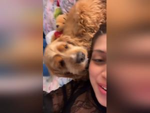 Sex with a dog: a unique beastly experience