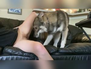 Introducing a dog to oral stimulation: a unique animal experience