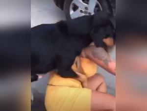 Woman and dog: a video of bestiality in the street