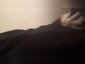 foules amoureuses chien