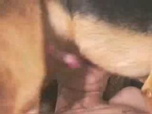 Bestiality: a woman and her dog