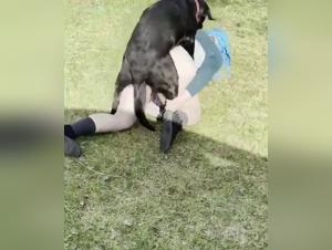 Bestiality sex: a woman and a dog in the garden