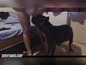Dog sex video: a woman and her pet