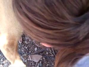 Tyson Encounter 10: Hund vergewaltigt Hure