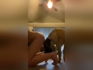 animalporn videos, tickzoo.tv exclusiv