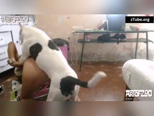 Intimate Video with a Dog